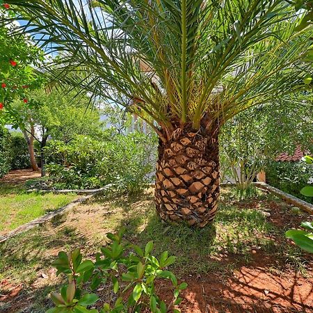Iby Apartment Pula Dış mekan fotoğraf